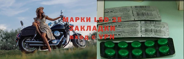 СК Алзамай
