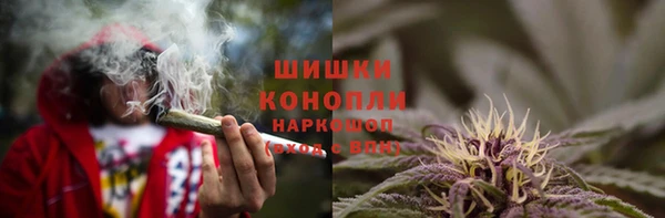 СК Алзамай