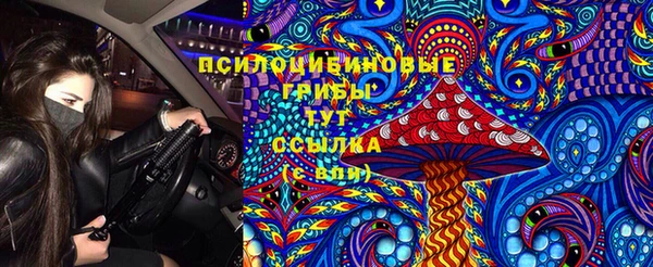 СК Алзамай