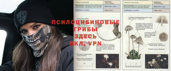 бошки Алексеевка