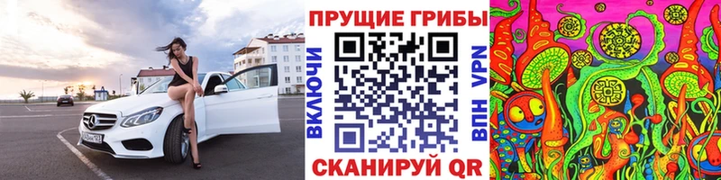блэк спрут маркетплейс даркнет сайт Бакал Псилоцибиновые грибы Magic Shrooms